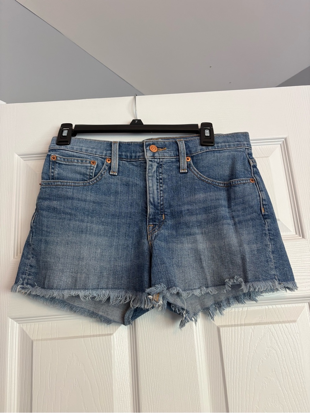 J Crew Denim Shorts 27